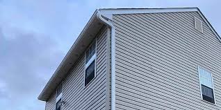 Best Fascia and Soffit Installation  in Cerro Gordo, IL